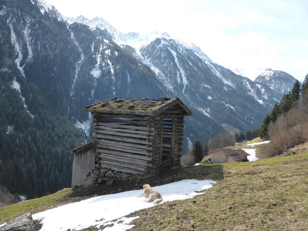 Pension Steinadler Neustift im Stubaital Exterior foto